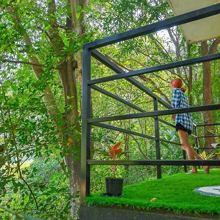 Shell House - Private Stay With Garden View In Arambol マンドレム エクステリア 写真