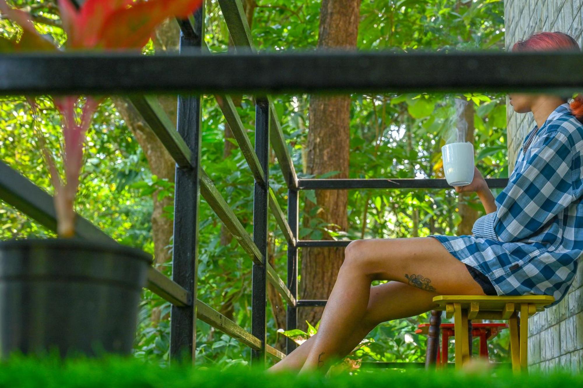 Shell House - Private Stay With Garden View In Arambol マンドレム エクステリア 写真