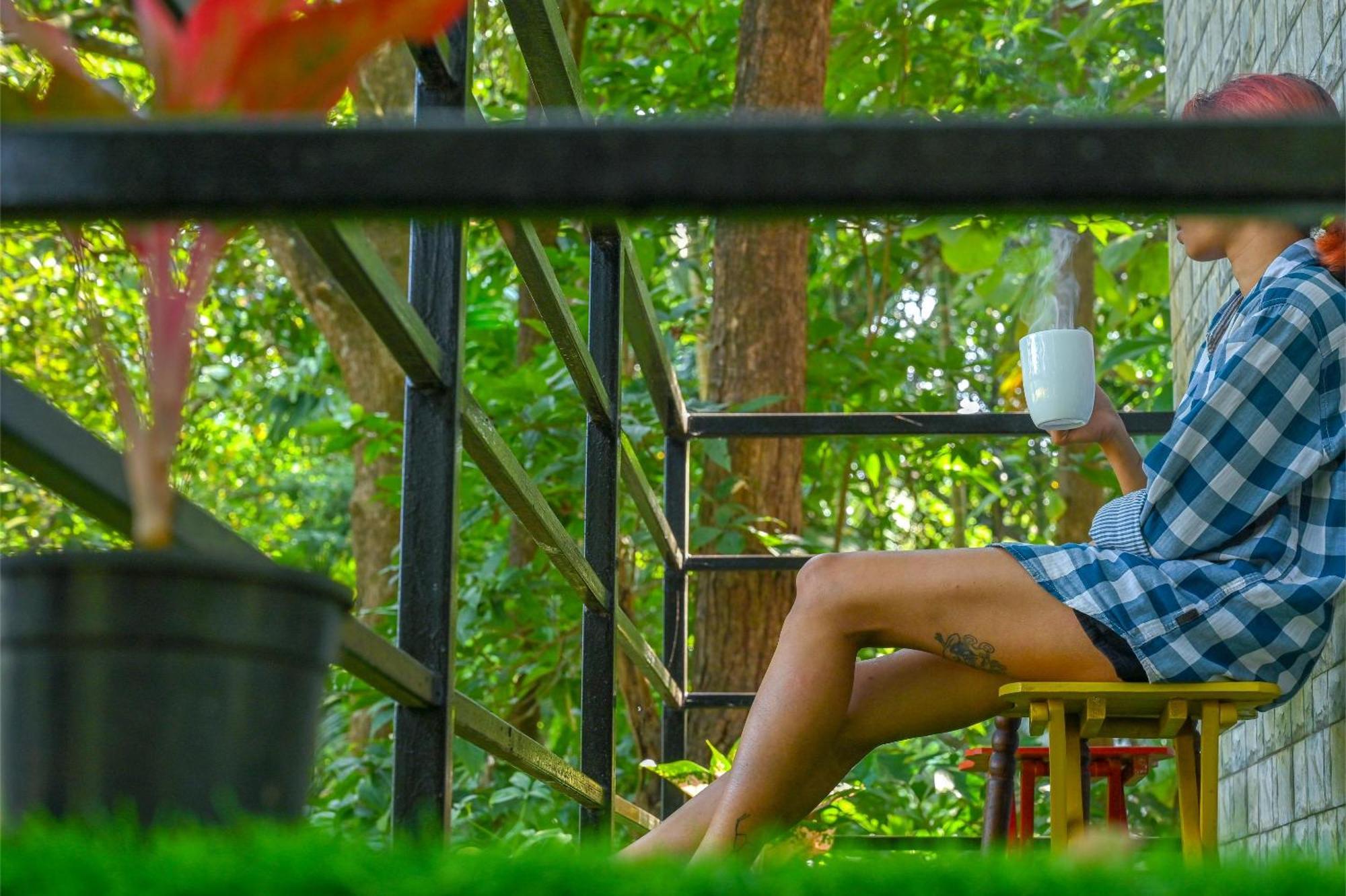 Shell House - Private Stay With Garden View In Arambol マンドレム エクステリア 写真